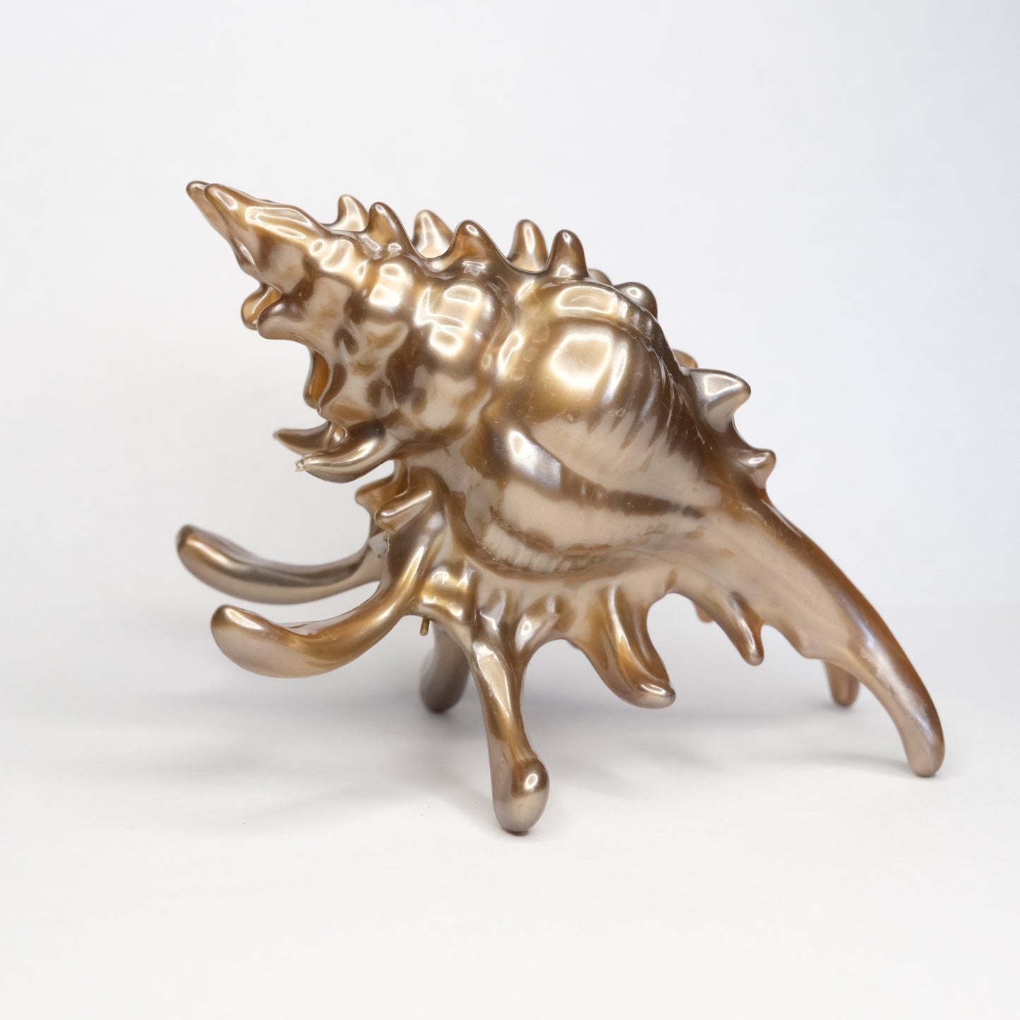 KapKap segtukas "Bronze crown conch"