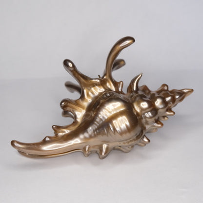 KapKap segtukas "Bronze crown conch"