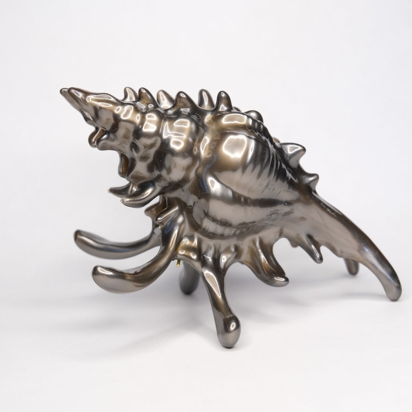 KapKap segtukas "Dark chocolate crown conch"