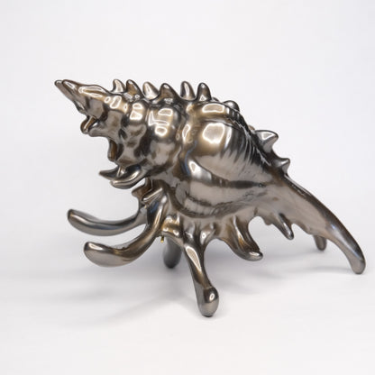 KapKap segtukas "Dark chocolate crown conch"