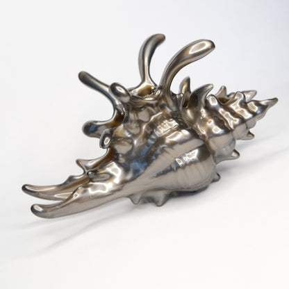 KapKap segtukas "Dark chocolate crown conch"