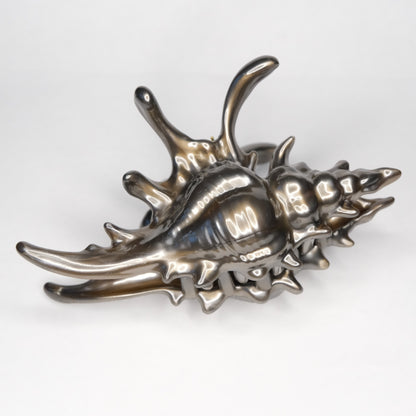 KapKap segtukas "Dark chocolate crown conch"