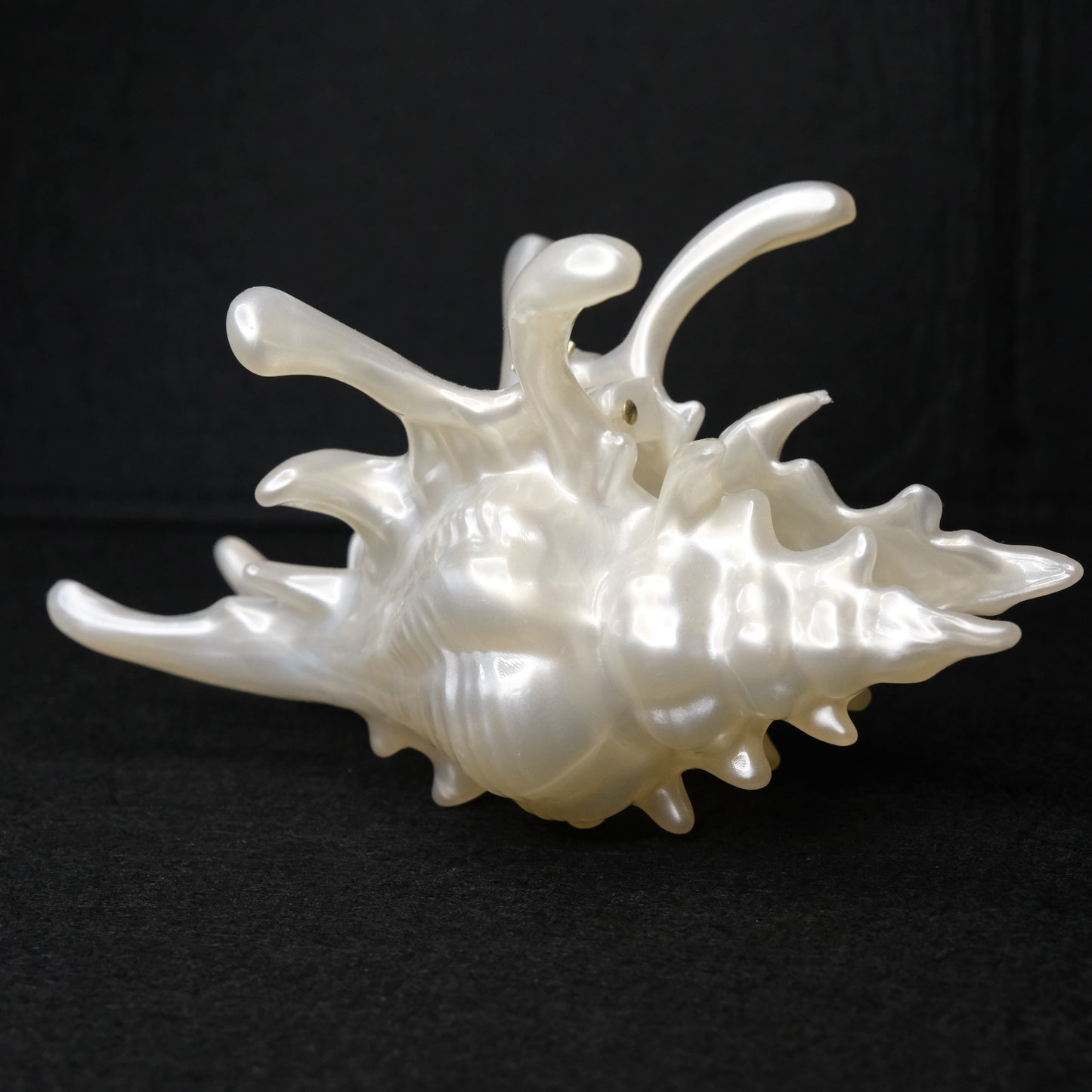 KapKap segtukas "Pearl crown conch"