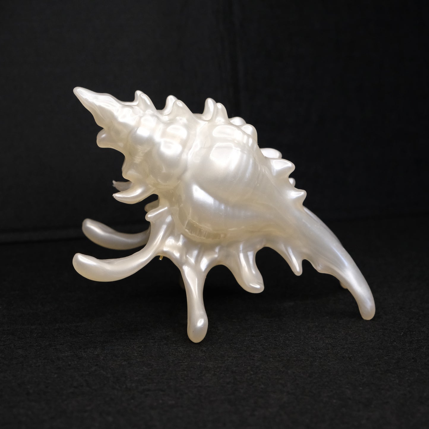 KapKap segtukas "Pearl crown conch"