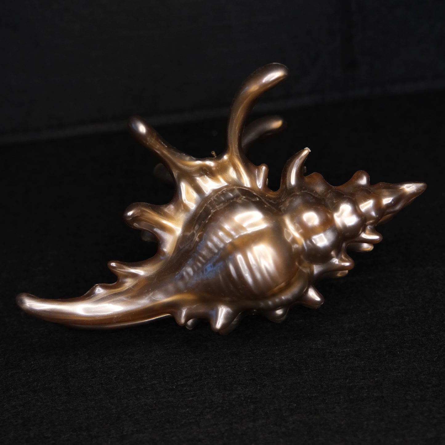 KapKap segtukas "Bronze crown conch"
