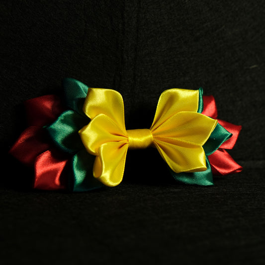 Plaukų segtukas "Lietuva"