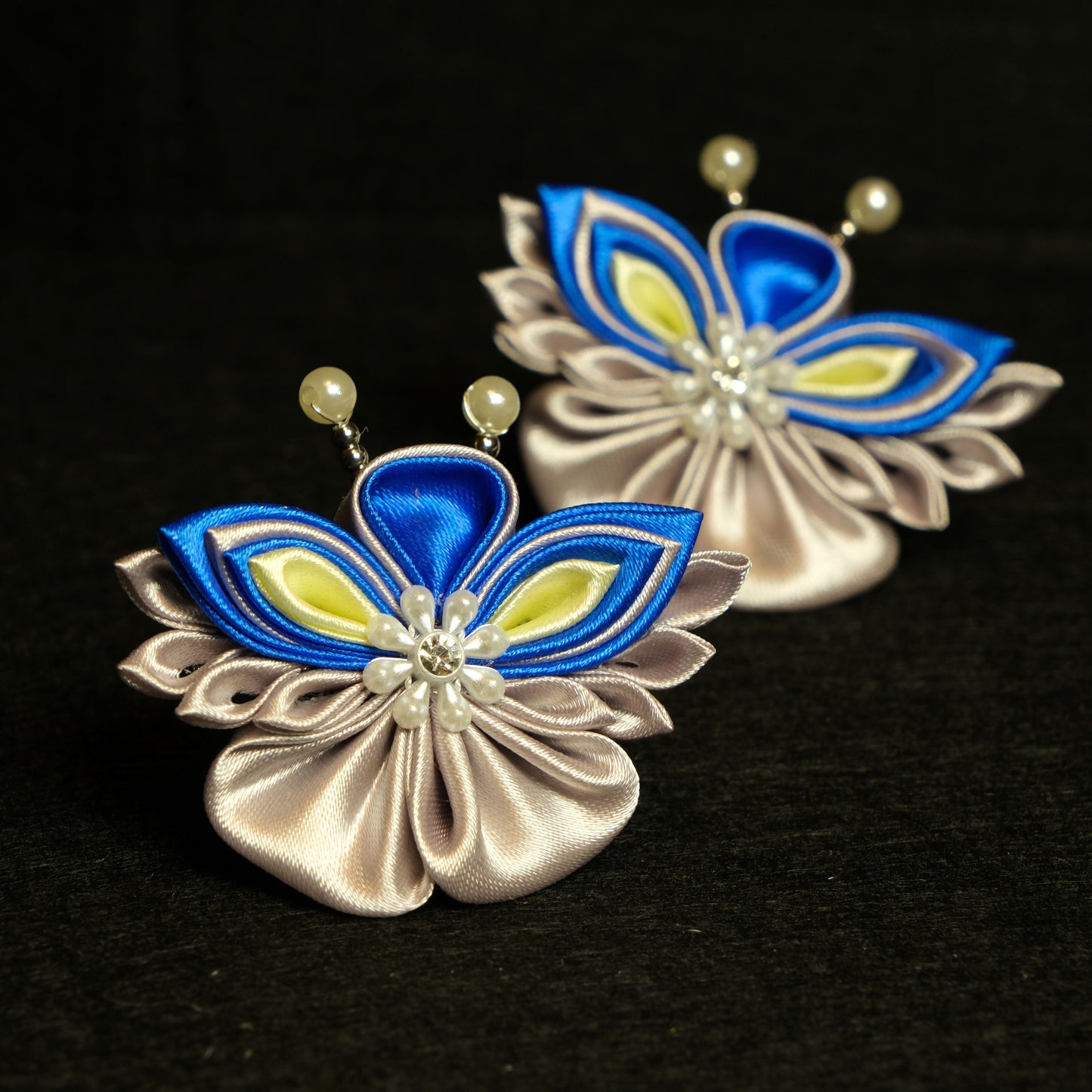 Karališkasis mėlynasis drugys