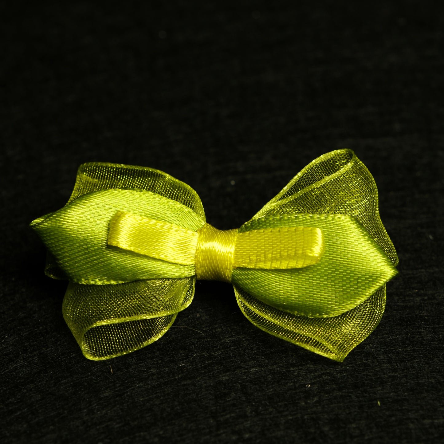 Gumytė kaspinas "Pavasaris"