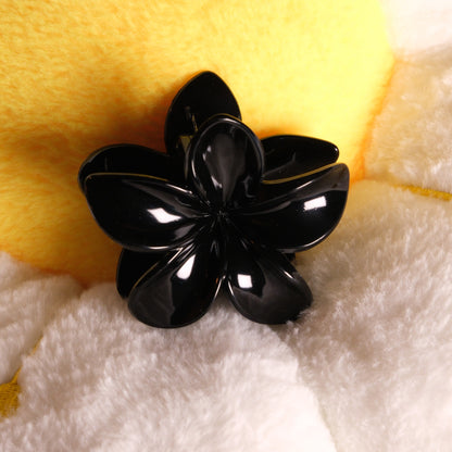 KapKap juoda gėlytė