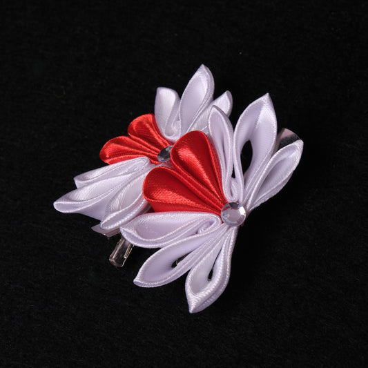 Segtukai į plaukus "Širdelės"